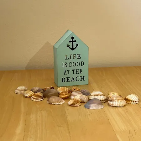 Nissi Elena - Shell Haven Apt Διαμέρισμα Αγία Νάπα
